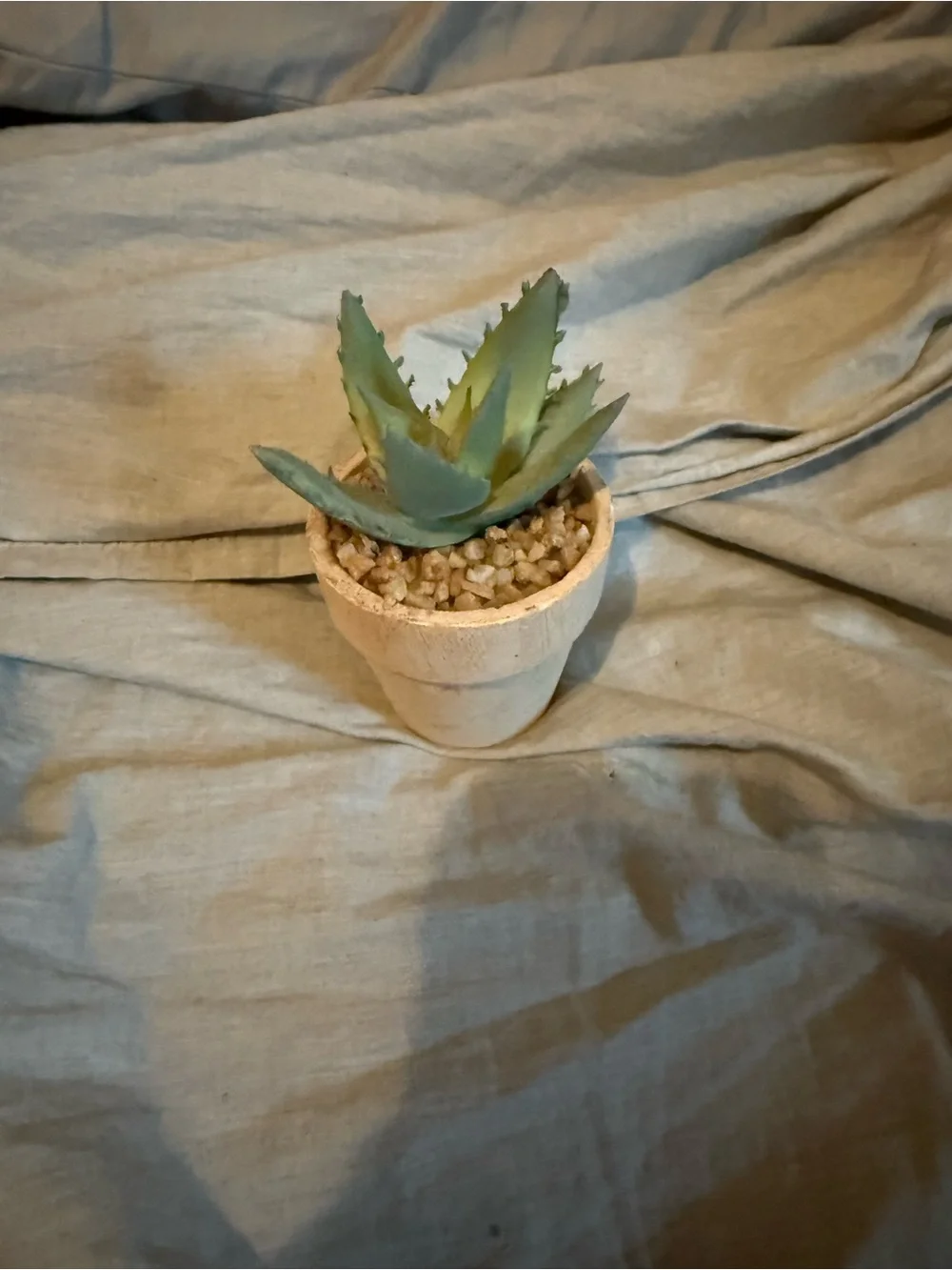Target Green Faux Succulent in Cream Pot